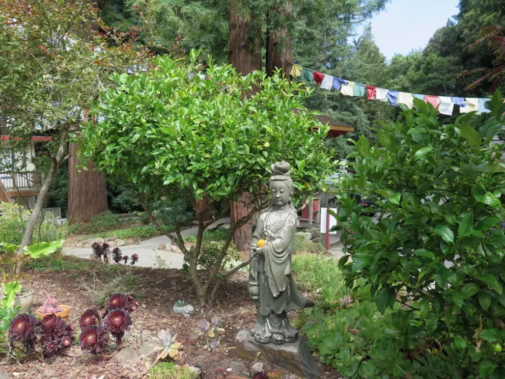 A statue with a fruit offering. 