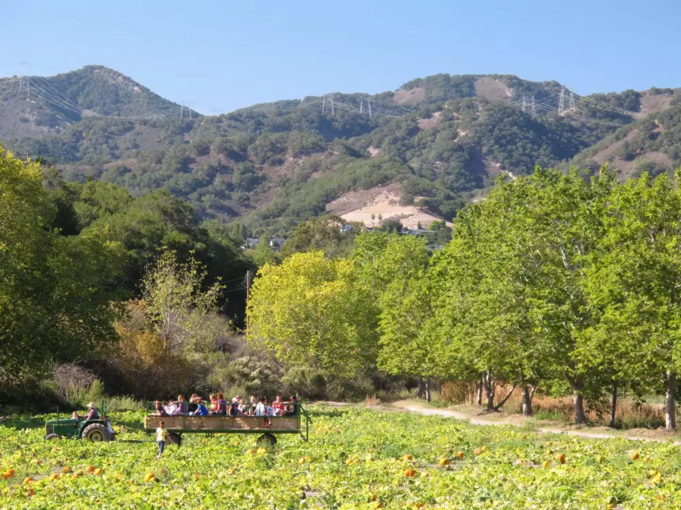 Hay ride through the pumpkins amongst the Fall colors of Avila Valley.