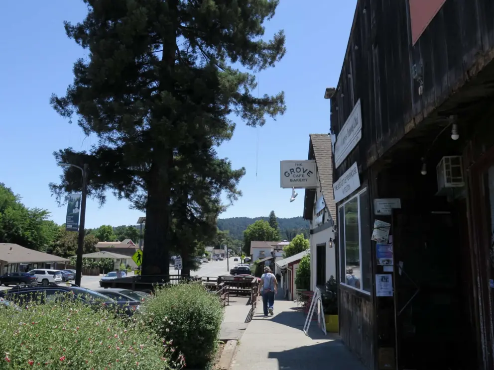 The block of cafes on Highway 9 in Felton, with a redwood tree right on the middle!