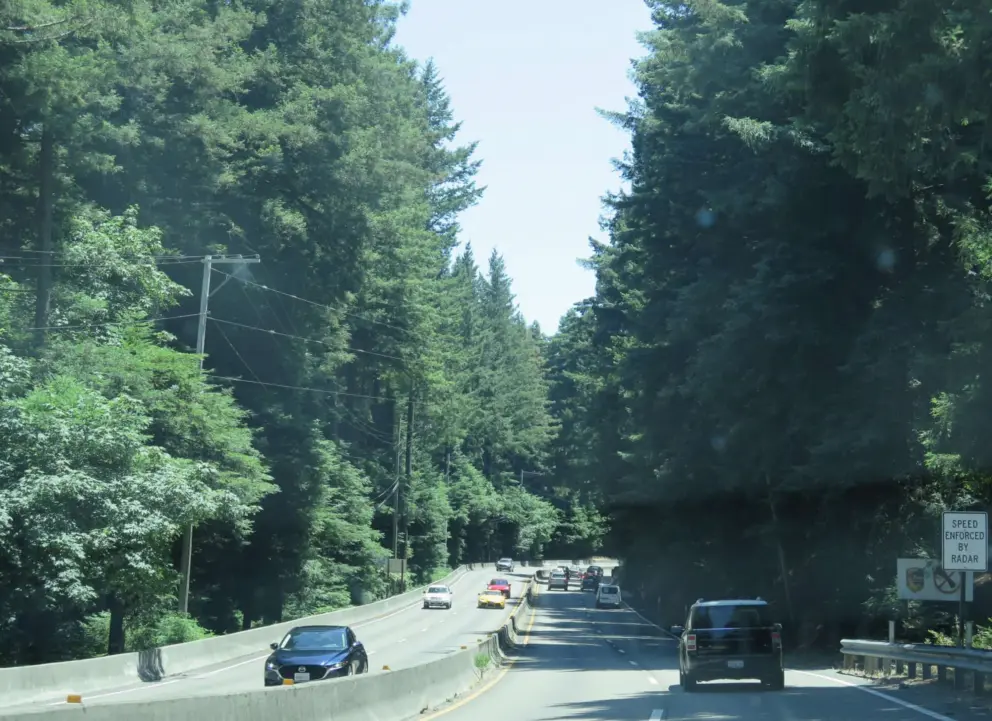Highway 17 takes you through the woods. 