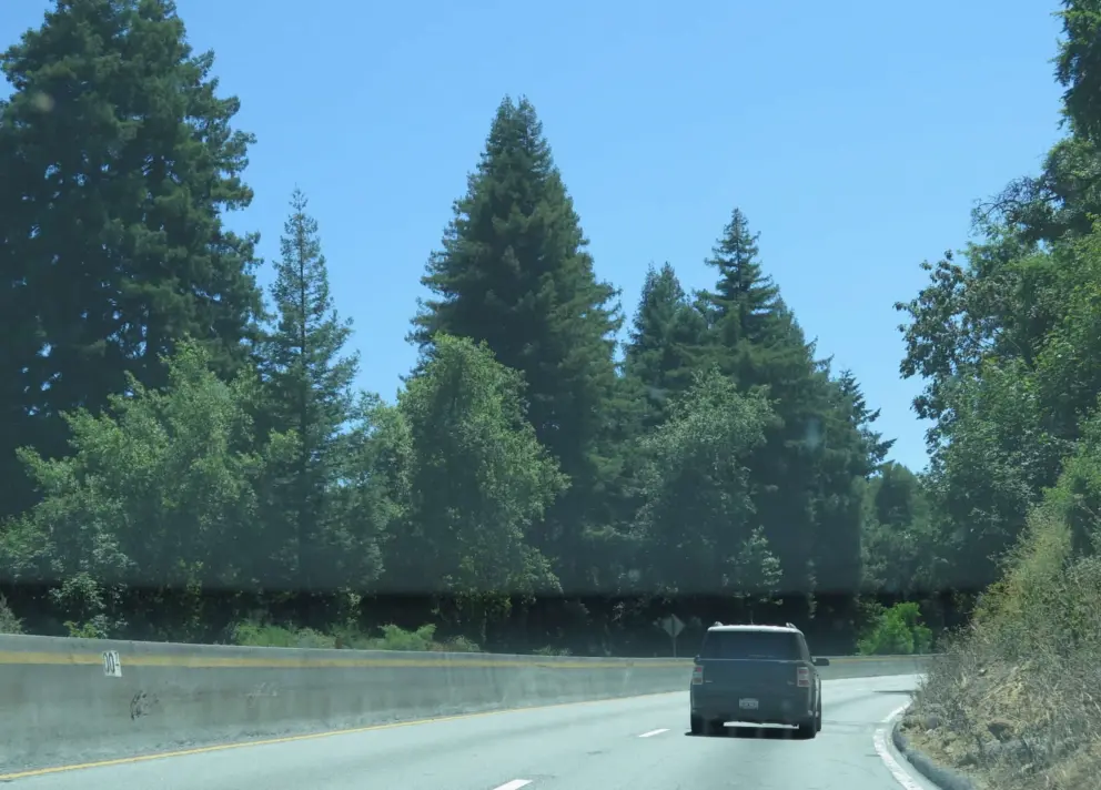 It's wonderful once you leave Silicon Valley and head out on Highway 17!