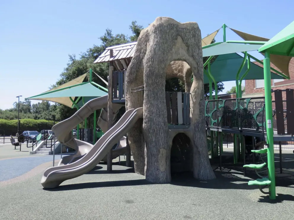 The treehouse play structure, with many slides, and leaf-shaped stepping stones. 