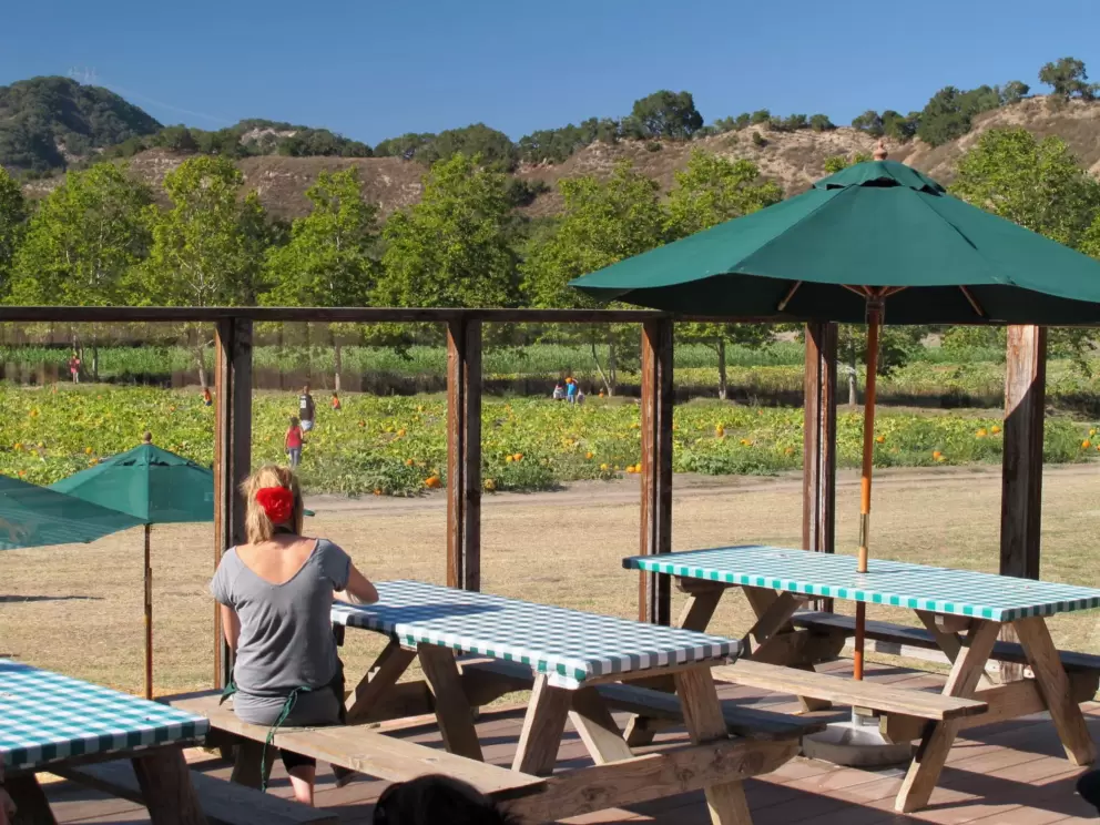 Picnic area at Avila Valley Barn.