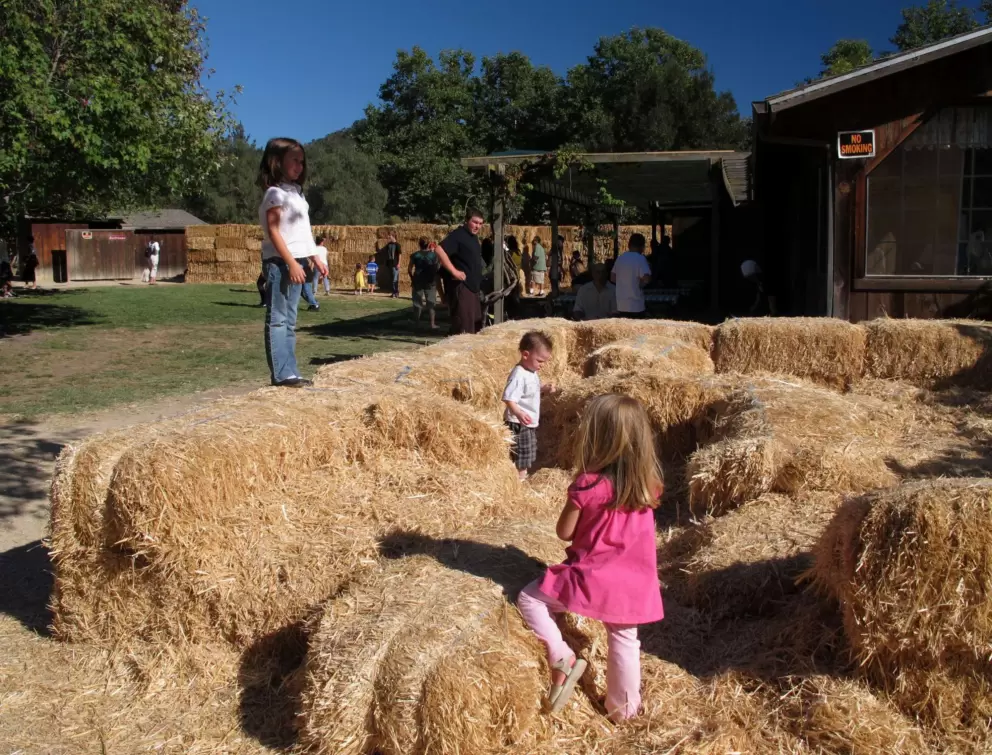 Hay jumping!