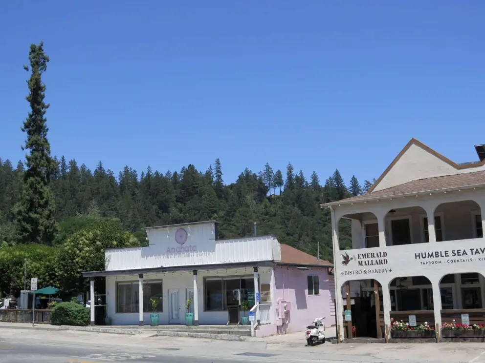 Western storefronts and wonderful treetops!
