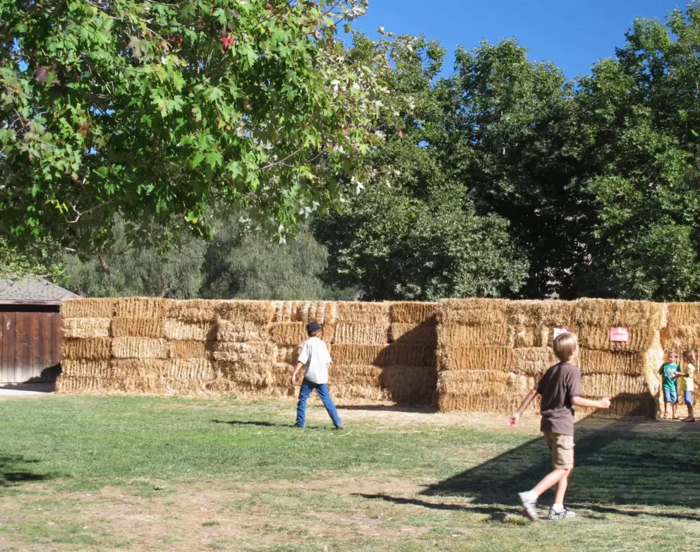 Boys head over to the maze made of hay. 