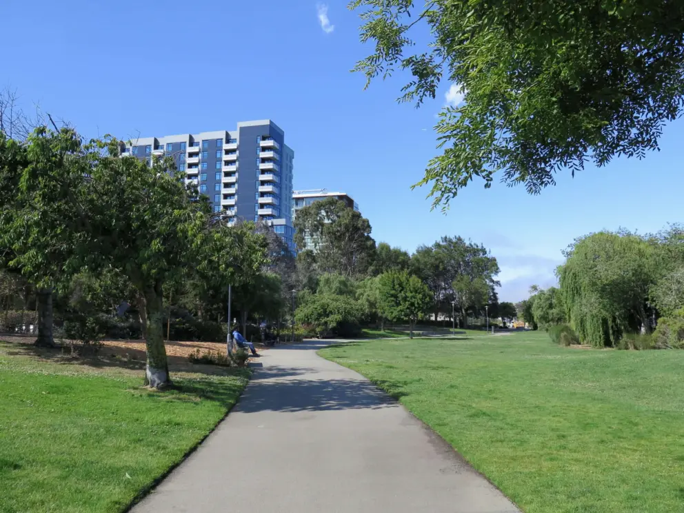 Path in Mission Creek Park. 