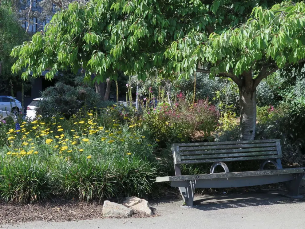 Bench and flowers in Mission Creek Park. 