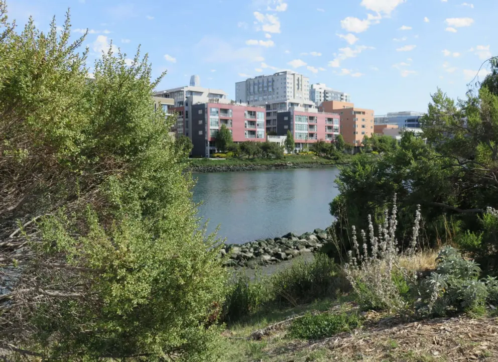 View of highrises across the channel, as seen from Mission Creek Park. 