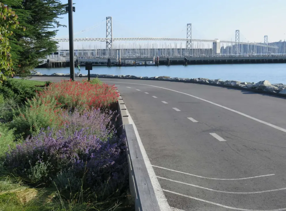 Bike path past flowers and bridge views, at China Basin Park. 