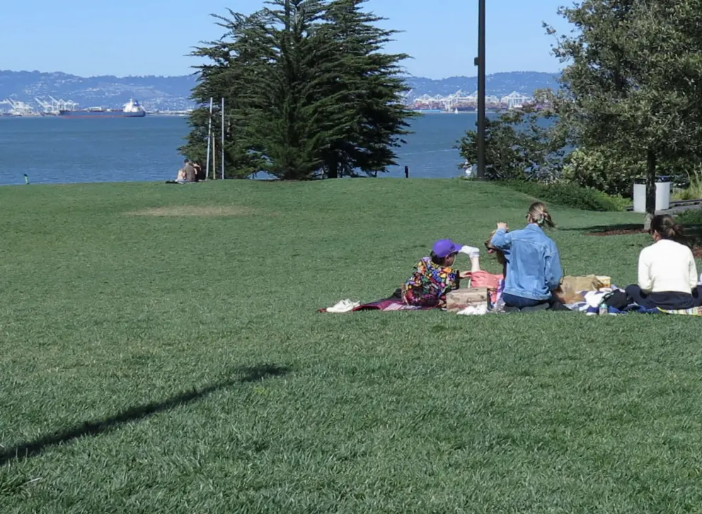 Picnic on the huge, sloped lawn at China Basin Park.