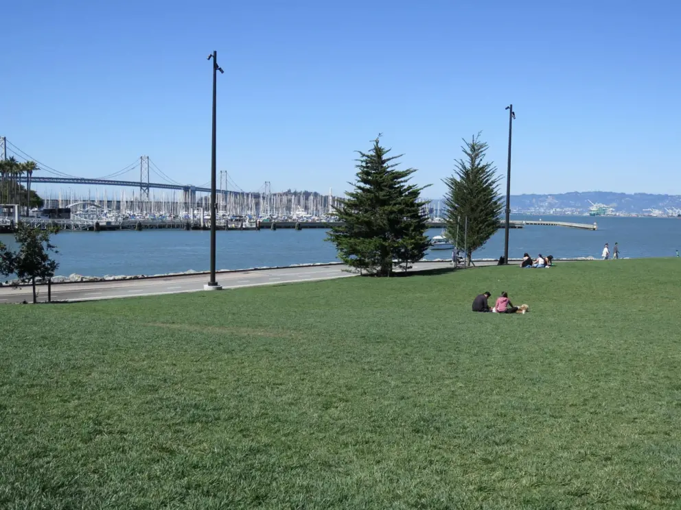 The large lawn with water views at China Basin Park. 