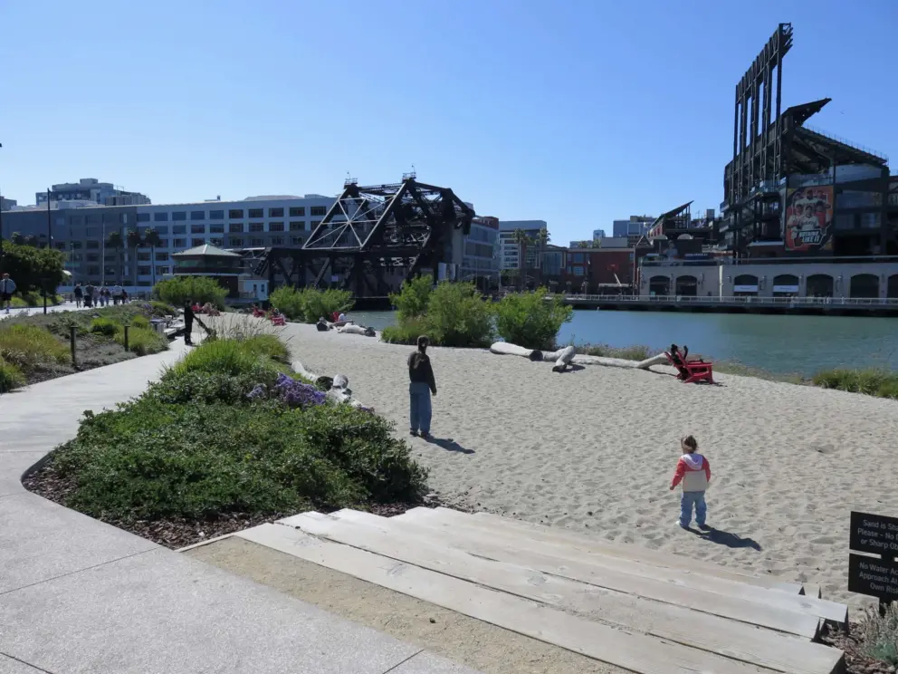 The sandy area with driftwood and flowers, at China Basin Park, near 3rd Street Bridge. 