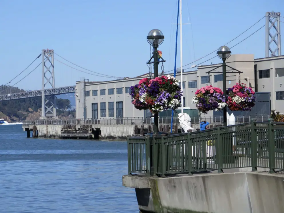 Flower baskets at the Ferry Building, and views of the Bay Bridge. 