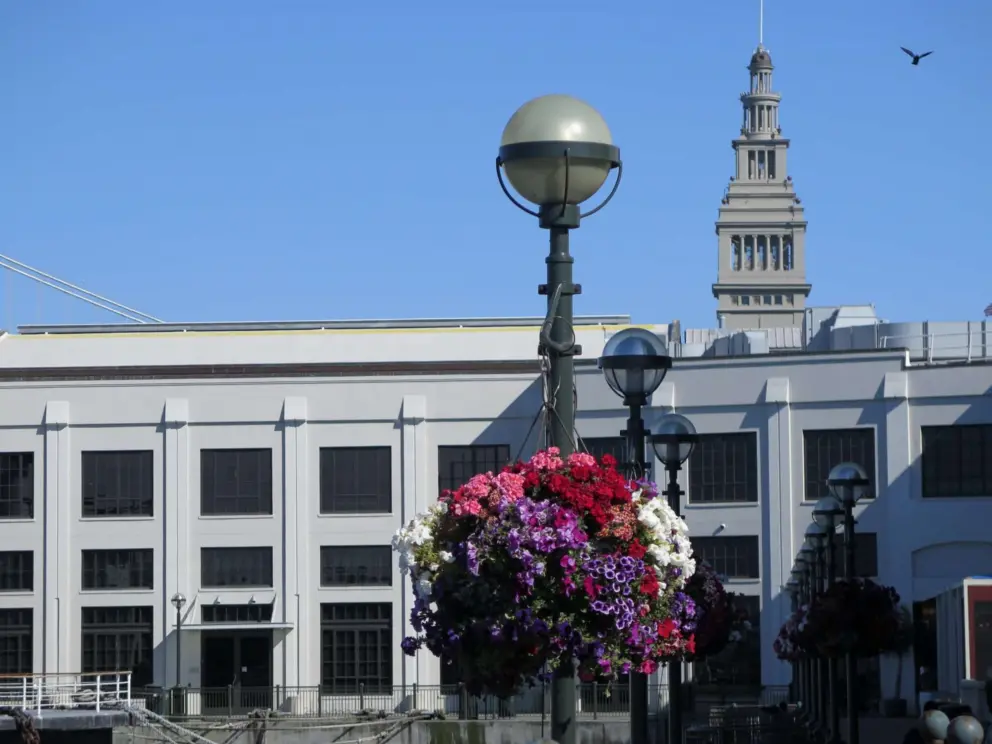 Flowers baskets and Ferry building clocktower. 