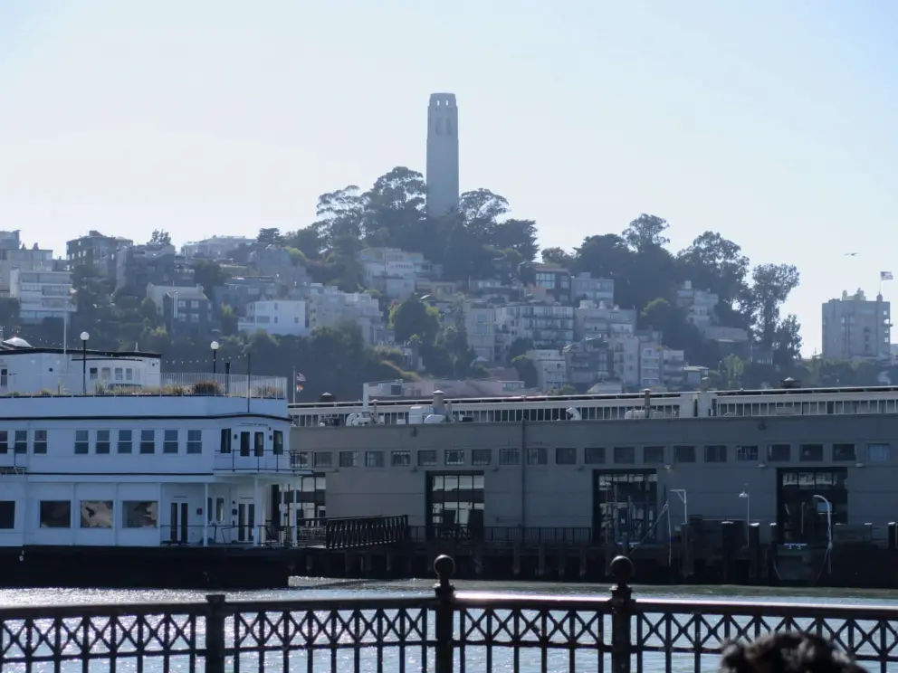 Coit Tower on its hill, seen from Pier 7. 