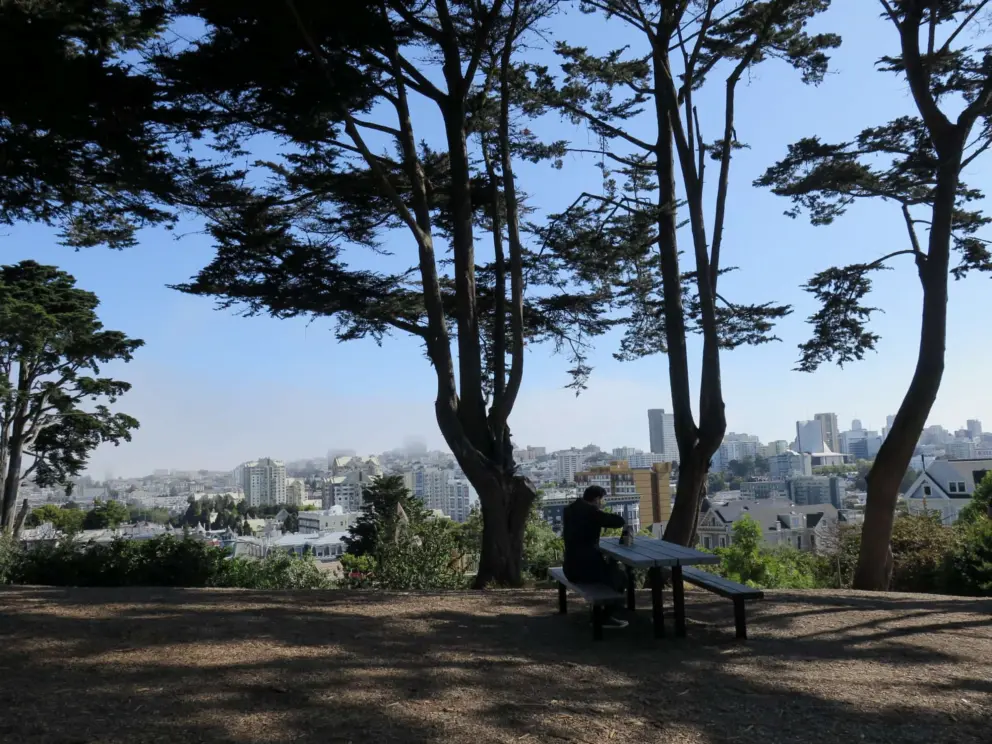 Picnic in Alamo Square. 