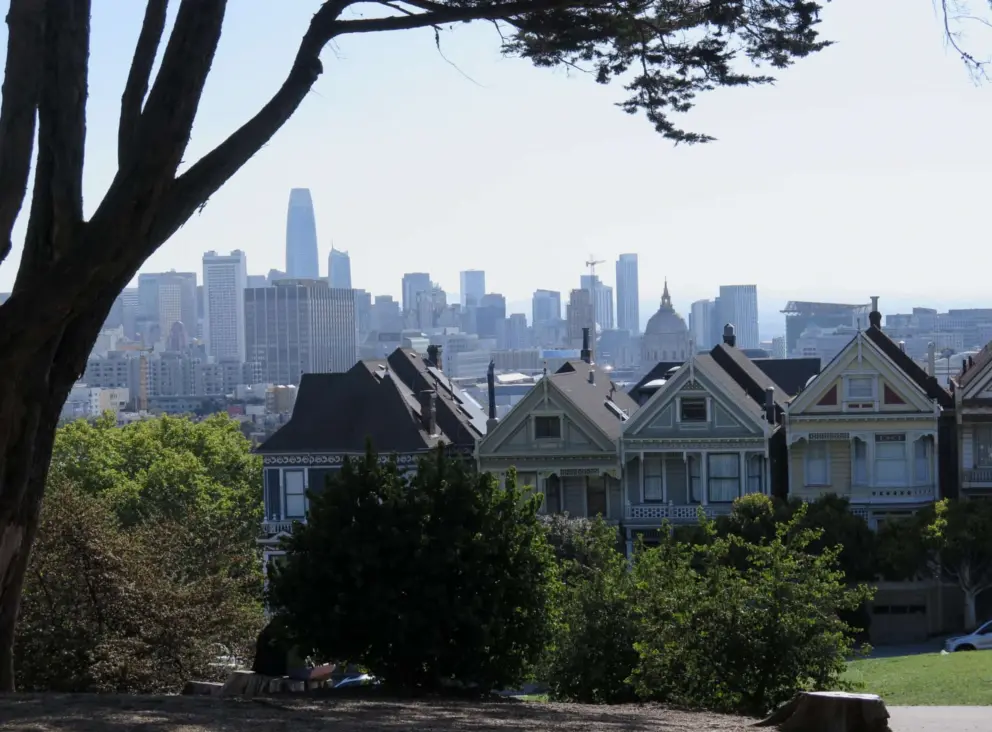 City views from Alamo Square. 