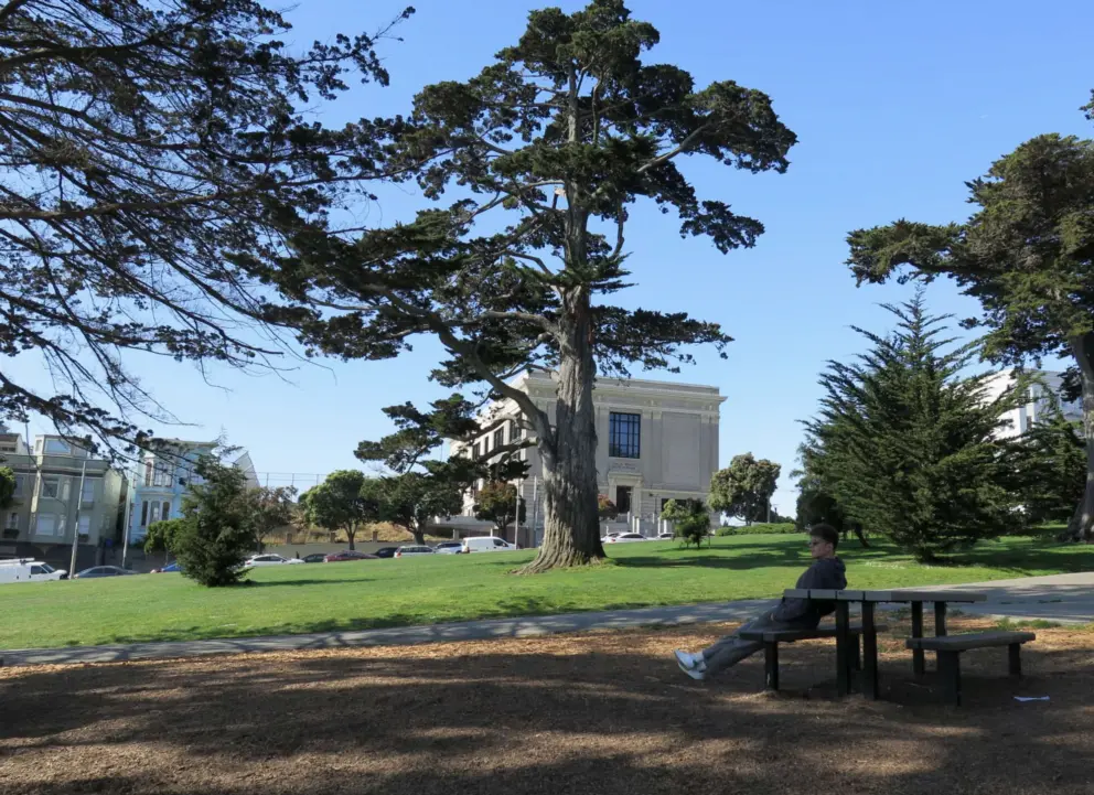 Sitting at a picnic table in Alamo Square. 