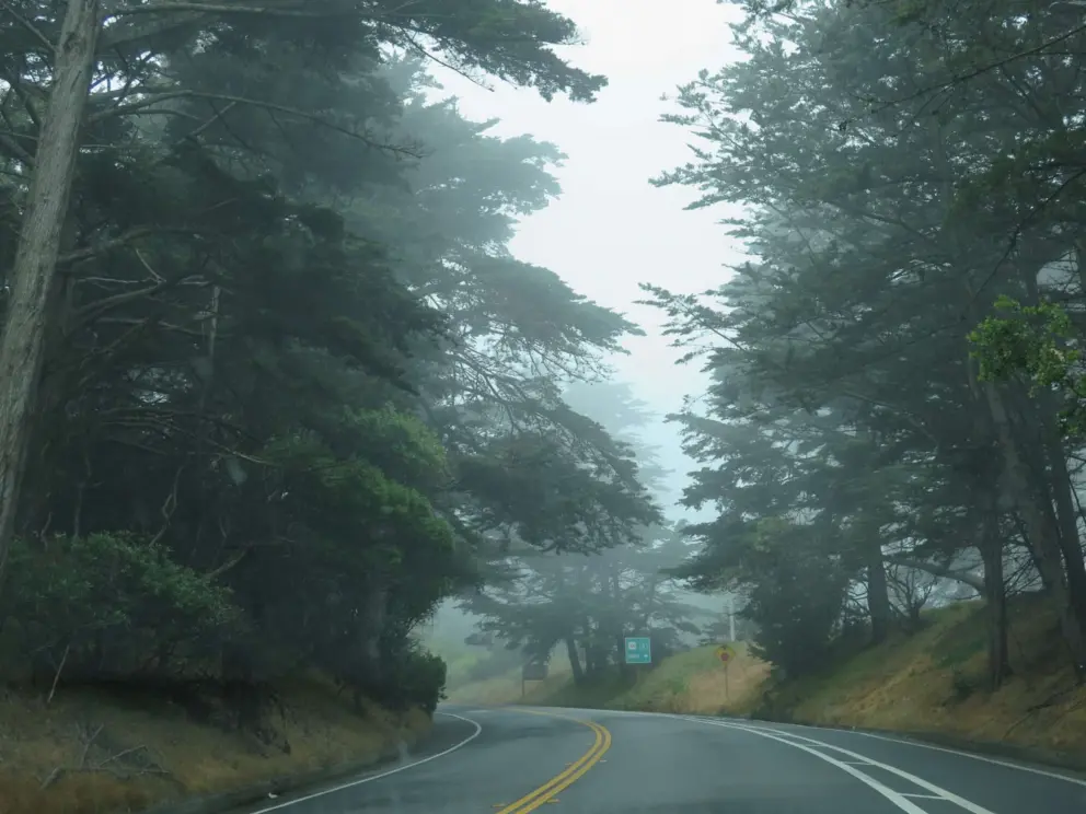 When it's foggy, there is a lot of atmosphere at the Presidio.