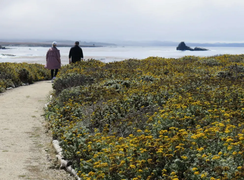 A couple walks along the trail. 