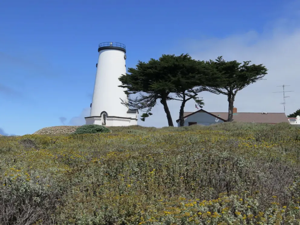 The lighthouse and cypress trees. 