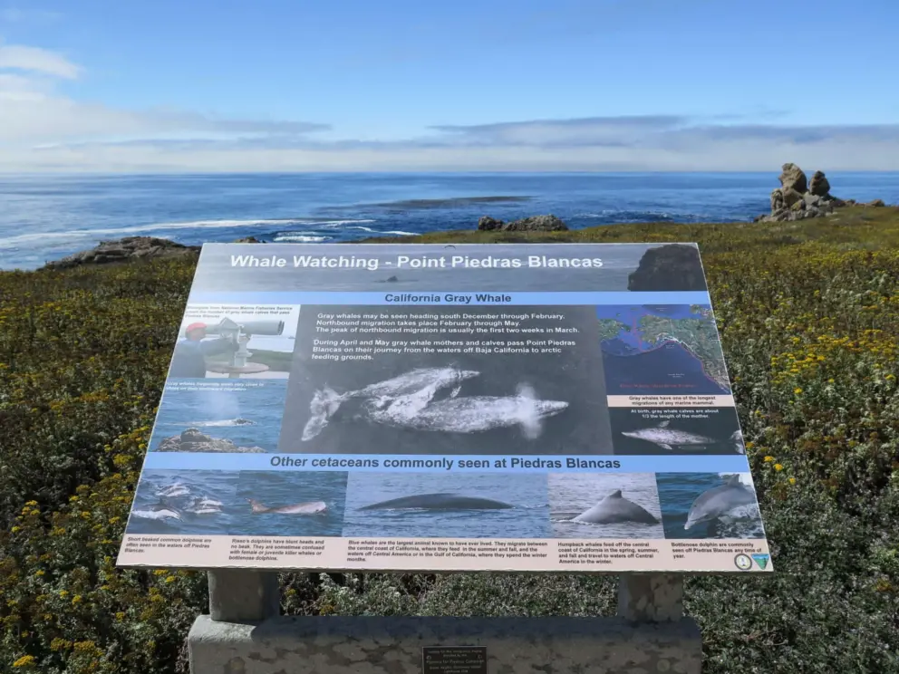 Whale watching plaque. 