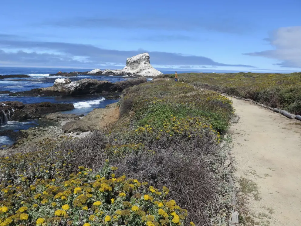 The white rocks, or piedras blancas. 