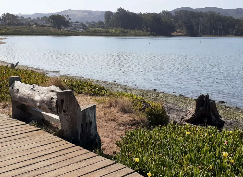 Wood log bench on Baywood Park Pier boardwalk with views of the estuary.