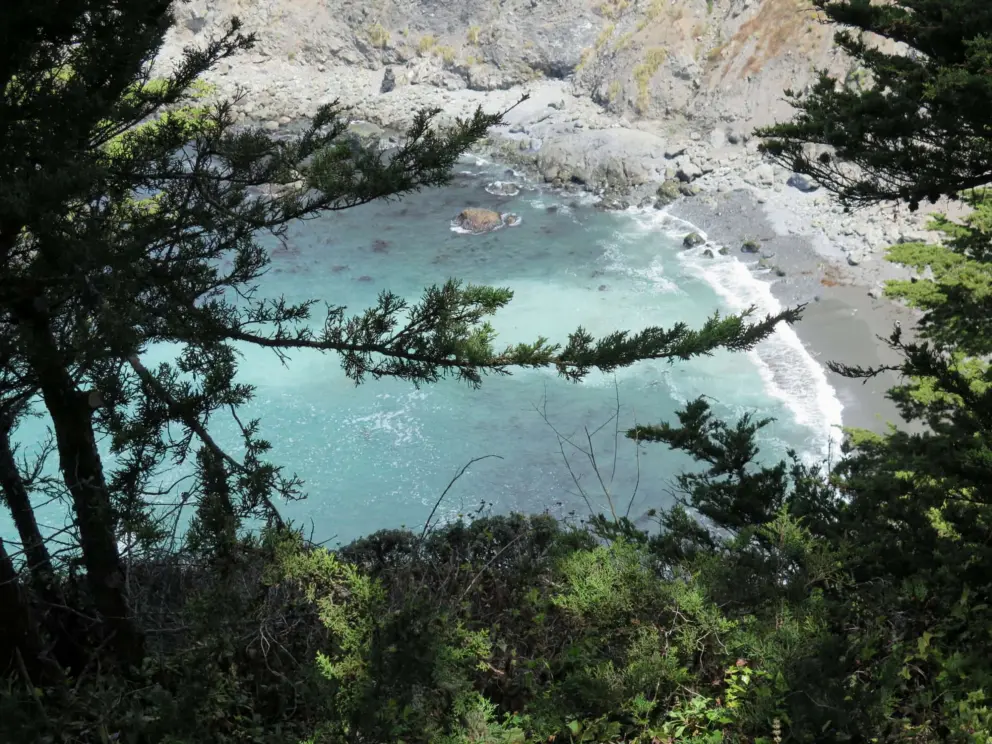 The second lookout, where cypress branches frame the view of the beach below. 