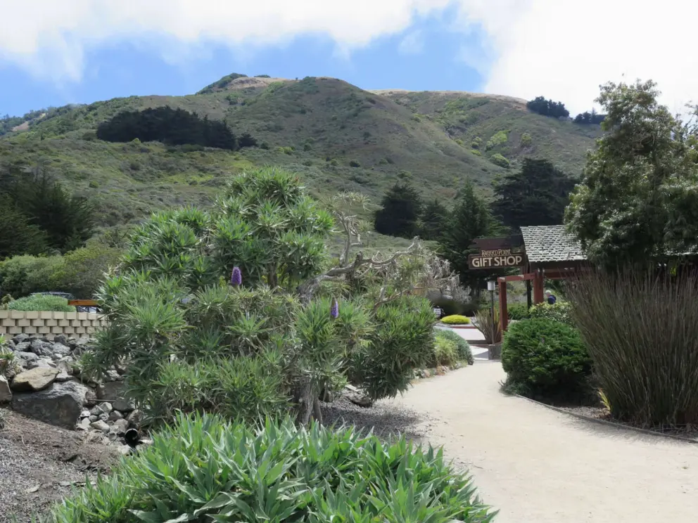 The gift shop, and hills. 