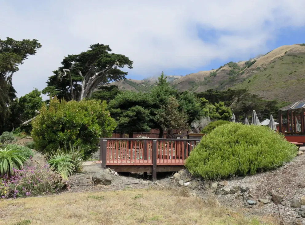 A bridge in the garden. 