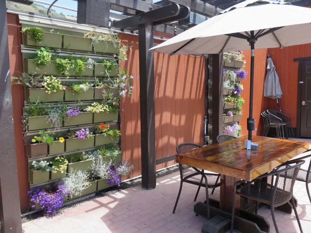 Flowers at the restaurant's patio.