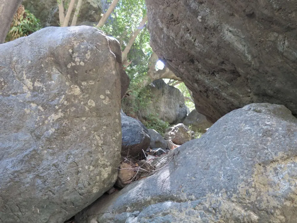 Boulders to manuever around. 