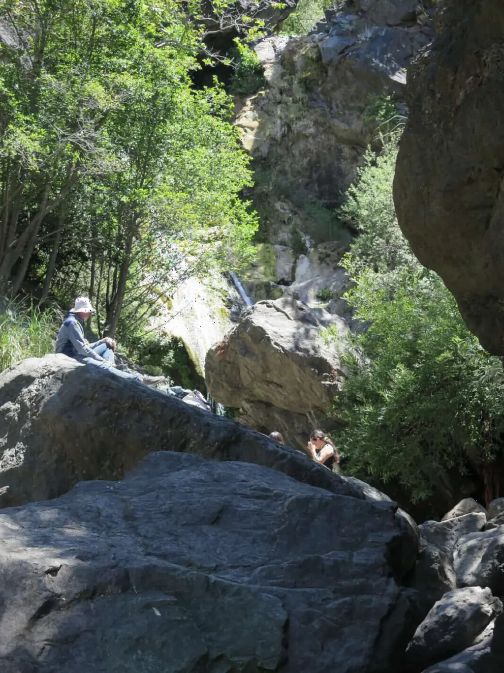The greenery looks lovely behind the rocks. 