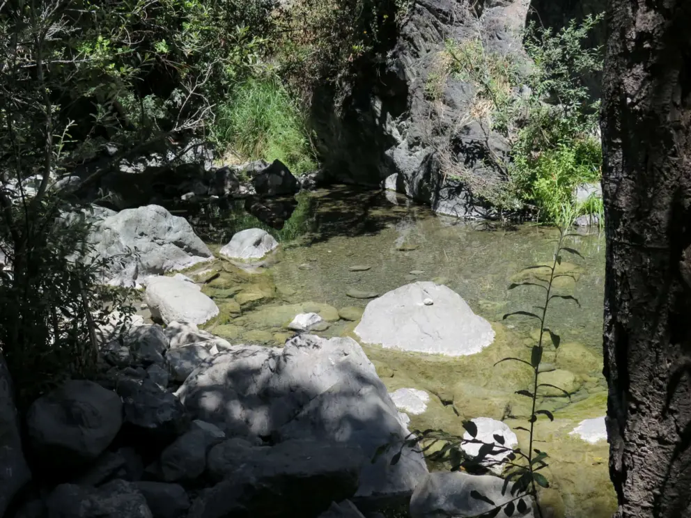 The clear creek at Salmon Creek Trail. 