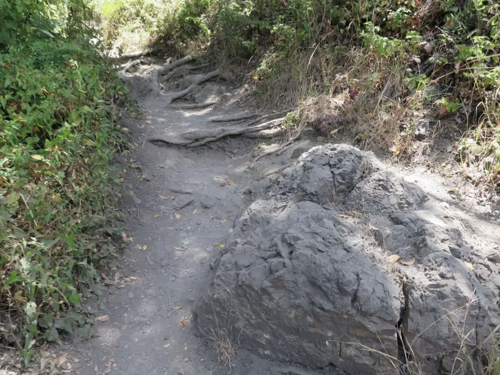 The beginning of the trail. 