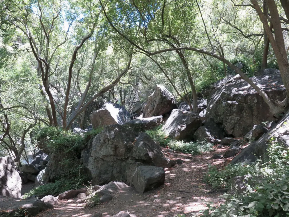 The clearing with huge boulders. 