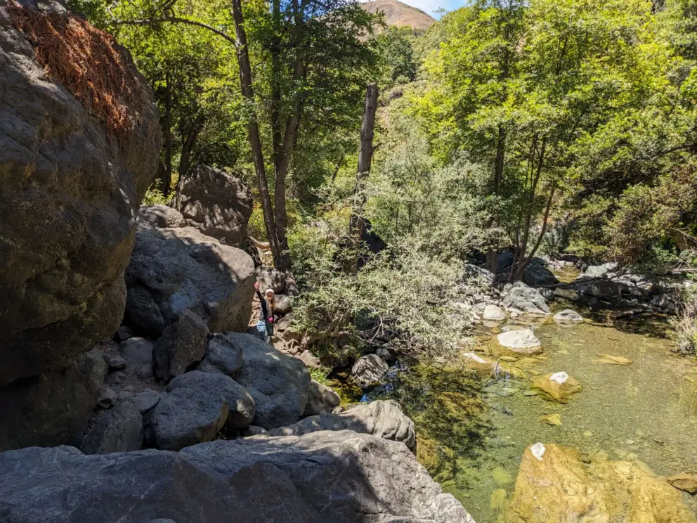 View of the creek below the falls. 