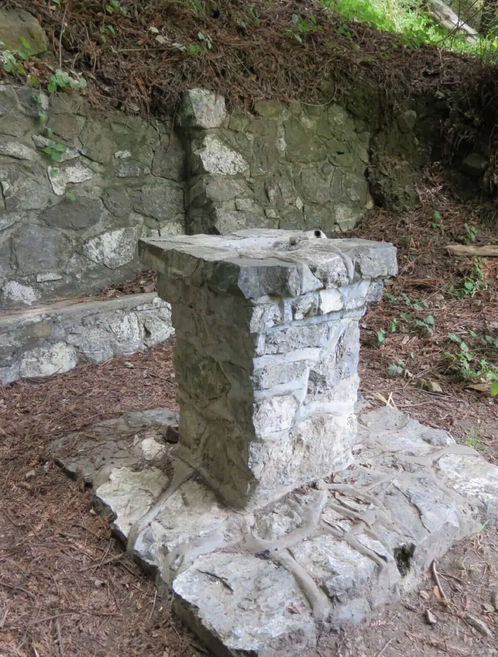 The strange bird bath thing! Or is it for making a fire to cook food? 