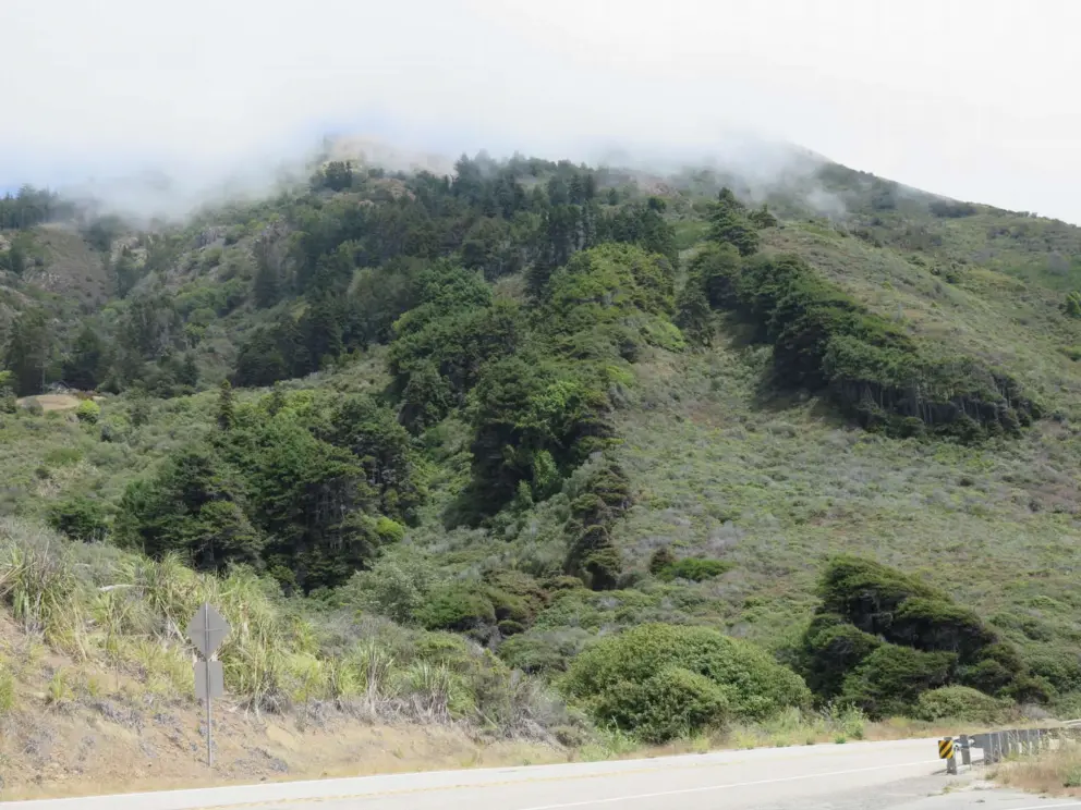 Fog at the top of the hills, as seen from the highway. 