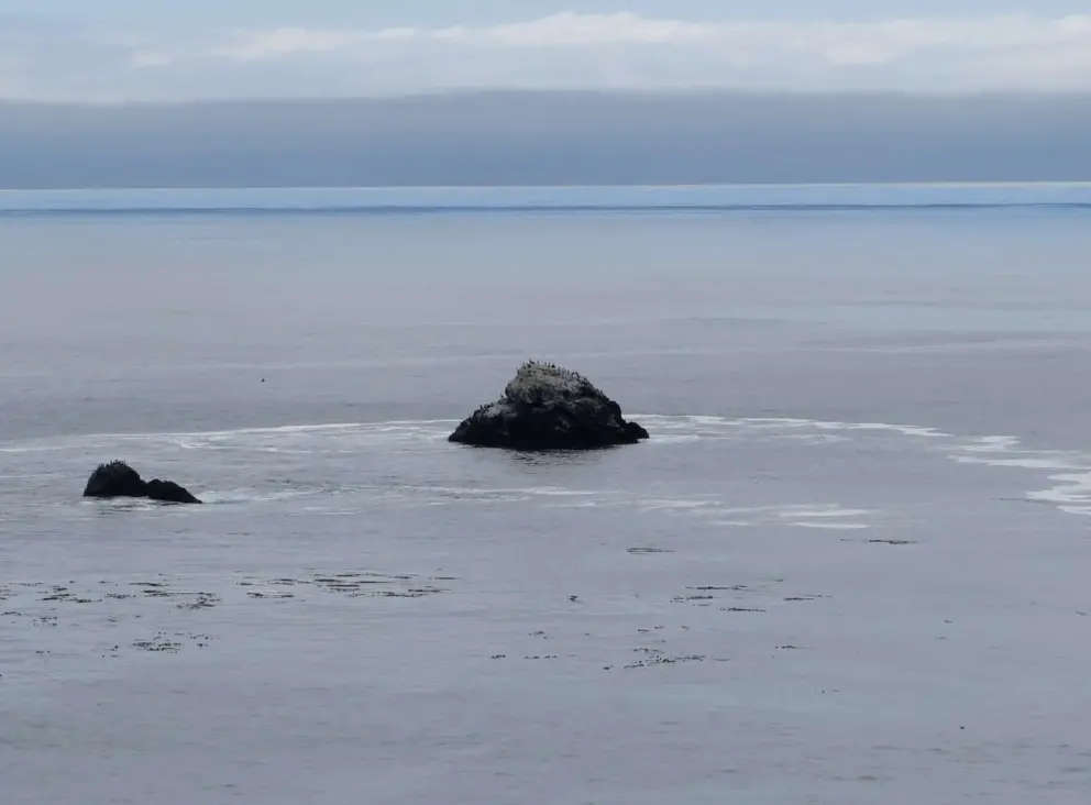 Bird rock offshore, and blue line near the horizon. 