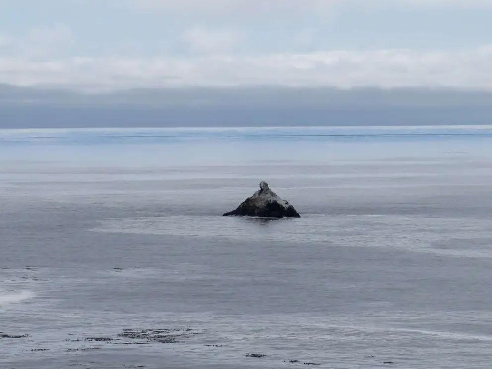 Little strange rock offshore and blue line near the horizon, as seen from the highway south of Limekiln State Beach. 