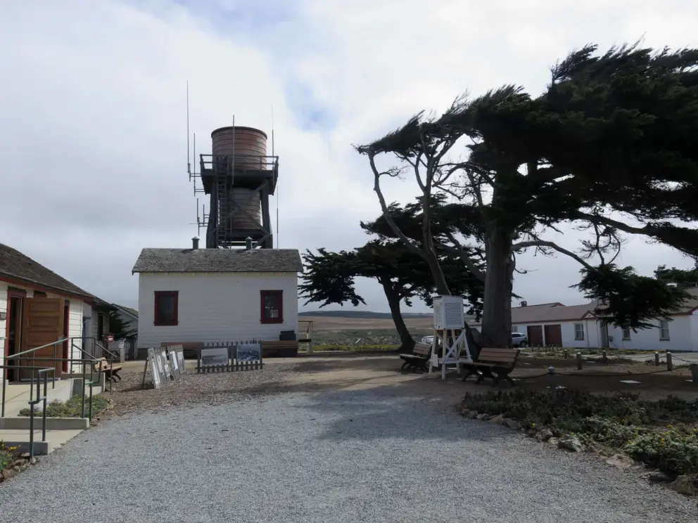 Water tower, cottages, and cypress trees. 