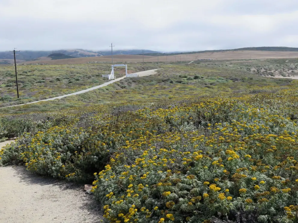 The gate, and a large swath of land at the entrance. 