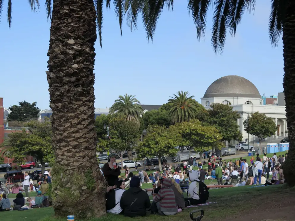 Dome and canary palms, at Mission Dolores Park. 