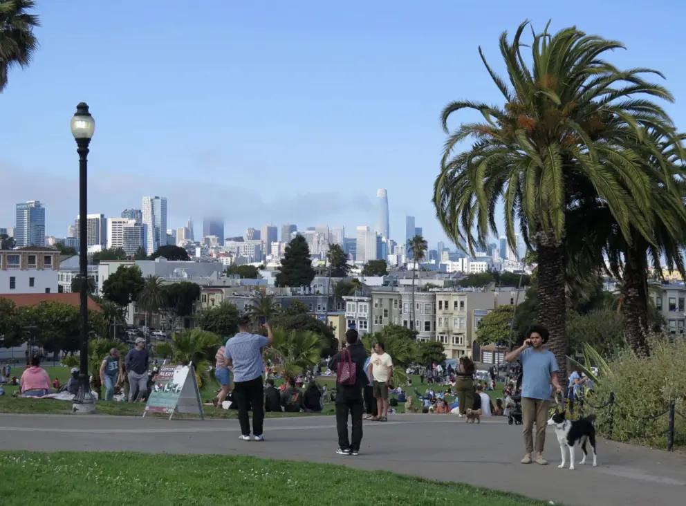 Dog lovers bring their dogs to play at Mission Dolores Park, with views of Coit Tower and the city skyline. 