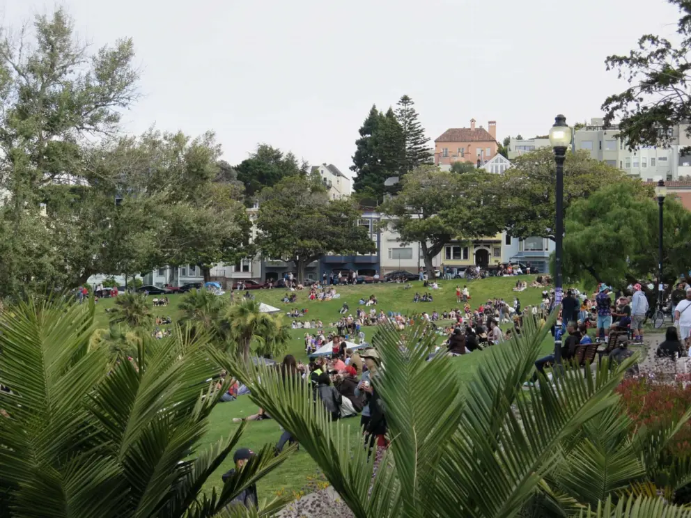 Beautiful trees and houses, at Mission Dolores Park. 