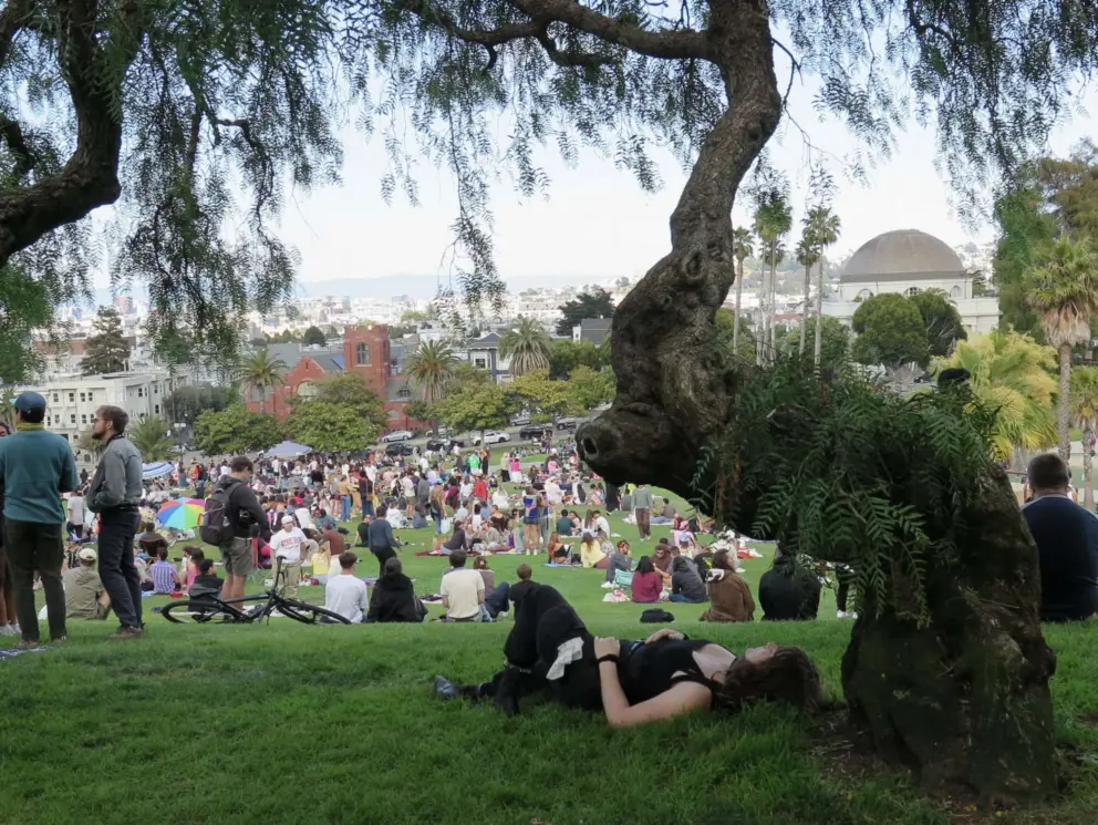 Relaxing under a gnarled tree. 