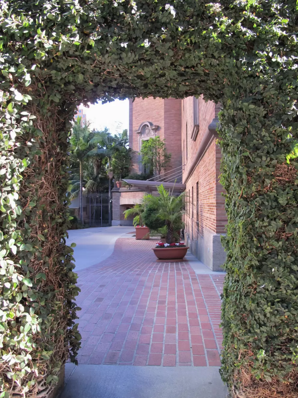 Leafy entryway.